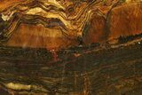 Polished Packsaddle Tiger Eye Slab - Western Australia #290943-1